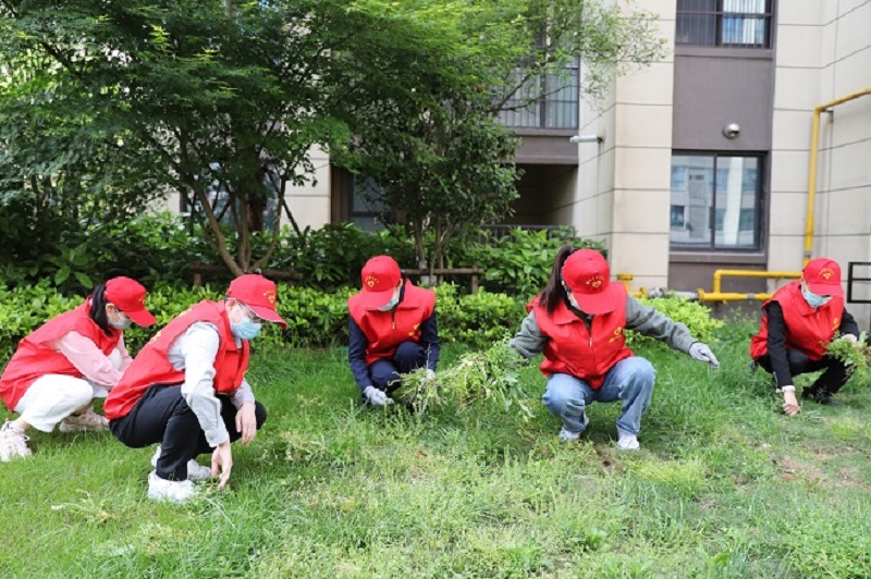 志愿服务进项目，青年先锋勇担当